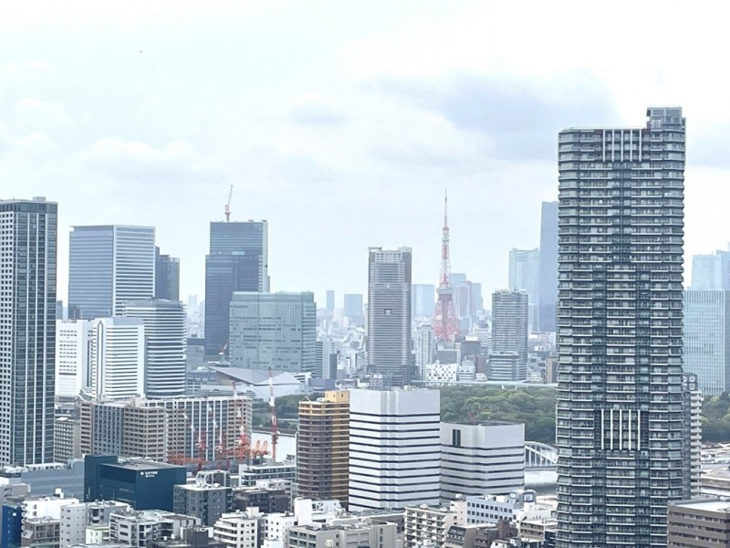 【住戸からの眺望】東京タワーも望めます。