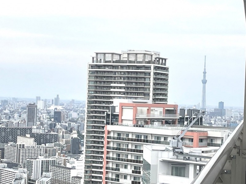 【住戸からの眺望】東京スカイツリーも遠望できます。