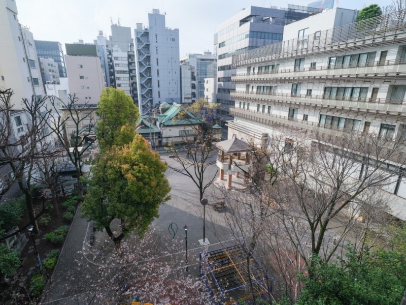 【住戸からの眺望】インナーバルコニーは緑豊かな「十思公園」ビューで、春には桜も望め、都心ながら四季折々の自然を感じられる眺望です。