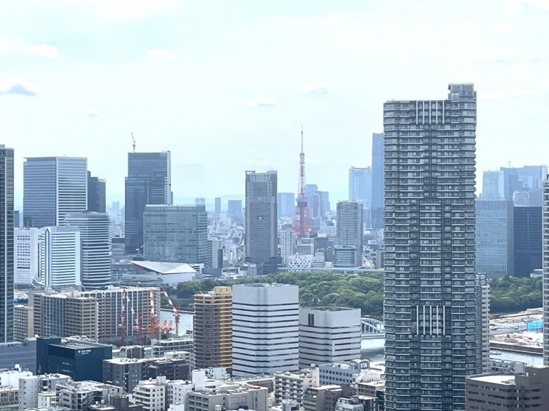 【住戸からの眺望】東京タワーも遠望できます。
