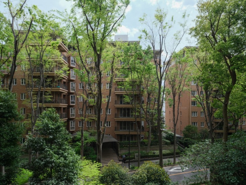 【住戸からの眺望】眼下は敷地内道路で、前面の建物まで距離が保たれているので陽光も注ぎ、開放感もあります。深いブラウンの建物とグリーンがマリアージュした海外の街並みのような、都心とは思えない癒しの眺望です。