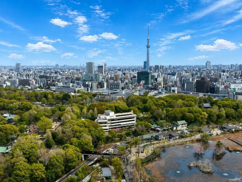 【住戸からの眺望】眼下には、「上野恩賜公園」や「恩賜上野動物園」のグリーン、「不忍池」が一望できる開放感たっぷりな広く空を仰げる爽快なパノラマビューです。
