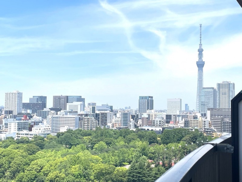 【住戸からの眺望】北側には東京スカイツリーも遠望できます。