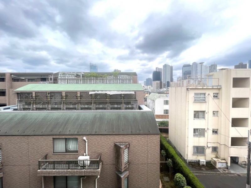 【住戸からの眺望】前面の建物まで距離が保たれているので陽光も注ぎ、周辺は低層の建物も多く、奥には新宿方面の高層ビル群も望め、広い空も仰げる眺望です。