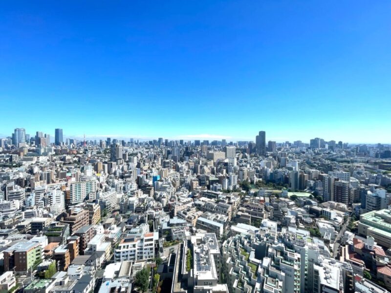 【住戸からの眺望】なにも遮るものはなく、空色の移ろいも感じられる開放感たっぷりの圧巻のパノラマビューです。夜には、広がる都心の明かりがより一層美しく煌びやかな夜景が贅沢にも自邸から堪能できます。