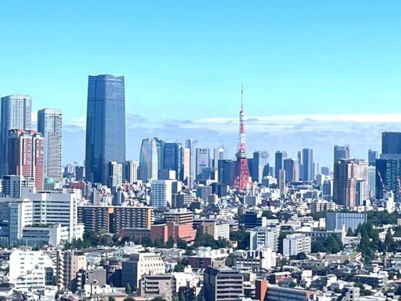 【住戸からの眺望】東京タワーをアクセントに港区を一望でき、高層ビルが建ち並ぶ都心部の壮観な景色を手中に収めることができる存分なステータス。