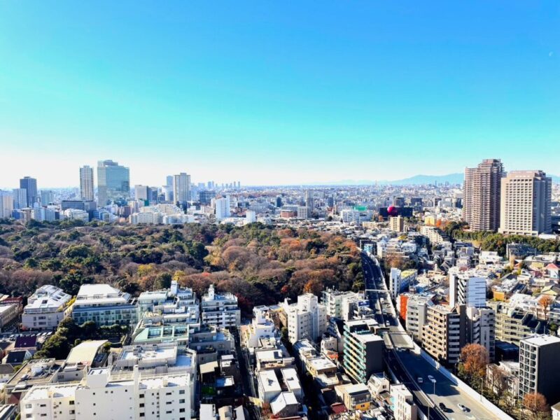 【住戸からの眺望】なにも遮るものはなく、都会的な景色に空色の移ろいも感じられる開放感たっぷりの圧巻のパノラマビューです。「自然教育園」の緑が広がる眺望です。