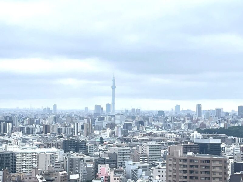 【住戸からの眺望】東京スカイツリーも遠望できます。