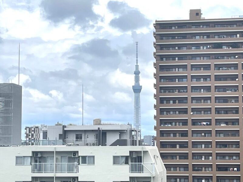 【住戸からの眺望】東京スカイツリーも遠望できます。