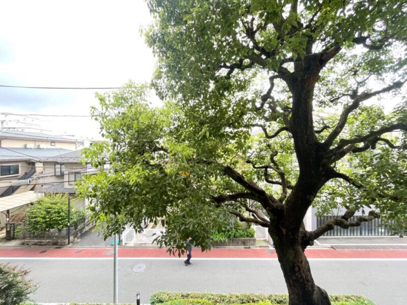 【住戸からの眺望】眼下は道路で、前面の建物まで距離が保たれているので陽光も注ぎ、周辺は低層の建物も多く開放感もあり、グリーンビューの空も仰げる眺望です。