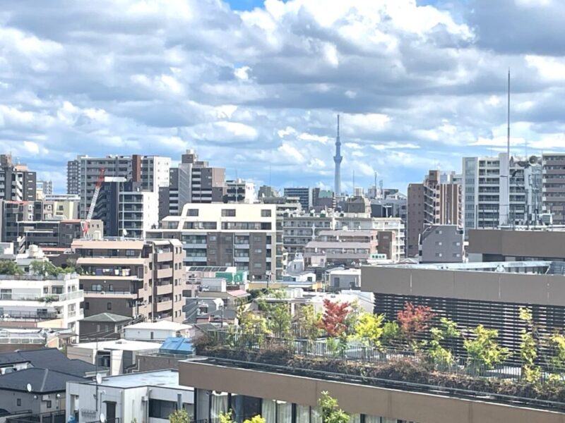 【住戸からの眺望】東京スカイツリーも遠望できます。