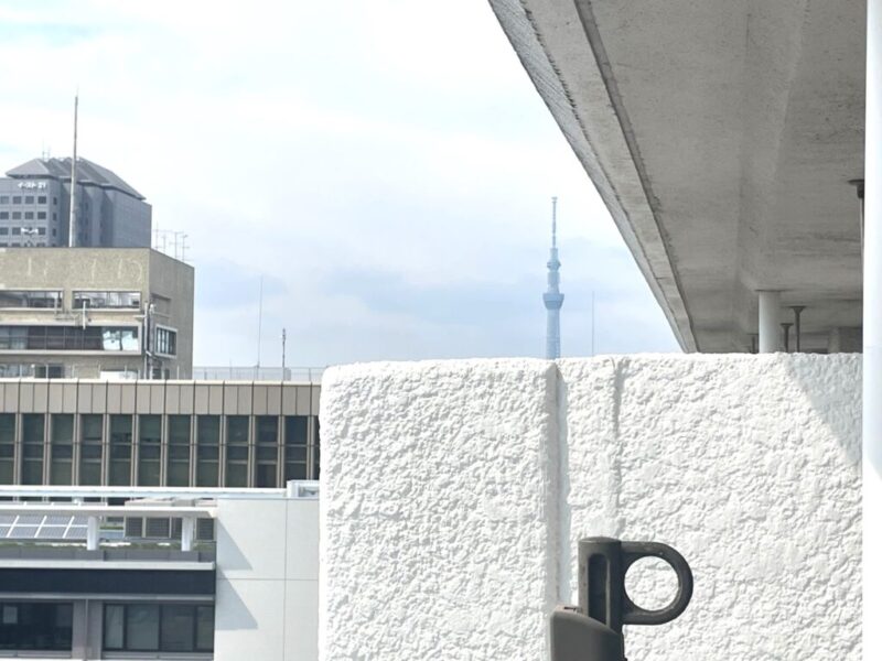 【住戸からの眺望】東京スカイツリーが遠望できます。
