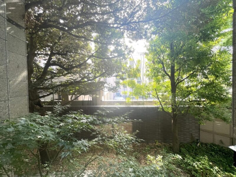 【住戸からの眺望】植栽のグリーンで囲われ、外部からの視線も感じにくく、プライベート空間で至福のひとときを満喫できます。