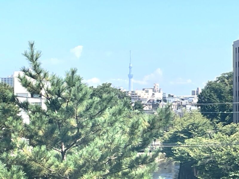 【住戸からの眺望】東京スカイツリーも遠望できます。