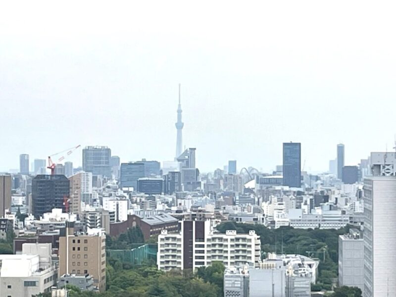 【住戸からの眺望】奥には東京スカイツリーも望めます。