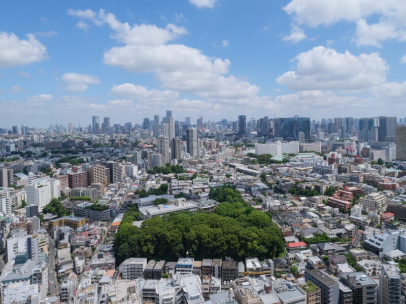【住戸からの眺望】都会的な景色ながら緑もあり、遠くまで抜けており、開放感たっぷりの圧巻のパノラマビューです。奥には東京タワーを中心とした高層ビル群が広がります。夜には、一面に広がる都心の明かりがより一層美しく、煌びやかな夜景が望めます。