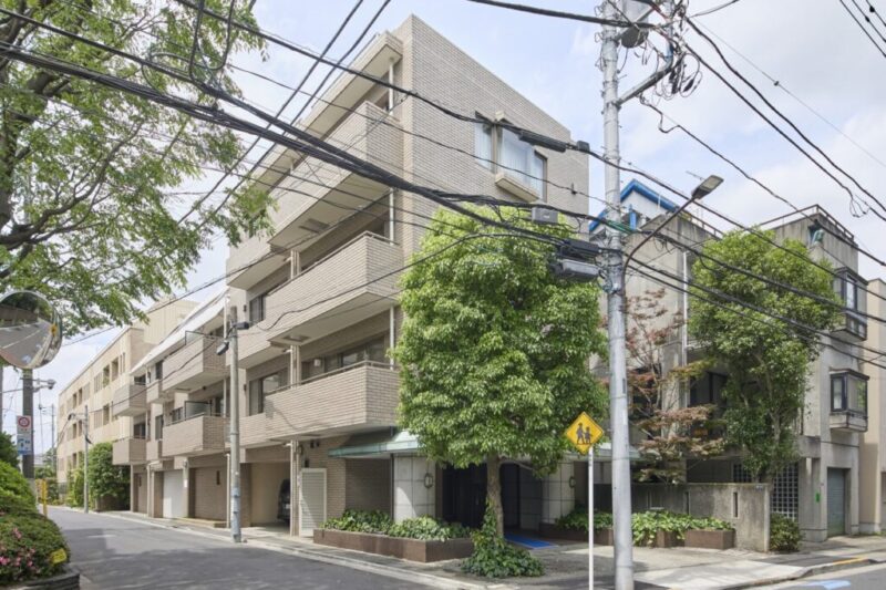 【外観】白金の邸宅街に調和する、落ち着きと品格を感じさせるプライベート性にも恵まれた住まい。1987年9月築、戸田建設施工、三井不動産旧分譲の地上5階建、総戸数12戸の低層レジデンスです。「白金台」駅・「白金高輪」駅徒歩10分圏内の好立地。南北線・都営三田線を使い分けることで、六本木・麻布・目黒・大手町方面などへスムーズにアクセスできます。白金台・白金高輪エリアには、日常の買い物に便利なスーパーやコンビニ、ドラッグストアなどが揃っています。白金らしい洗練されたショップやカフェも身近にあり、暮らしを豊かに彩ります。都心にありながら緑を身近に感じられる白金エリア。「国立科学博物館附属自然教育園」や「東京都庭園美術館」など、自然と文化に触れられるスポットも身近です。学校や医療施設も揃い、安心感のある住環境です。「白金の丘学園」や「聖心女学院初等科から高等科」などの教育環境が近く、「東京大学医科学研究所附属病院」や「北里大学北里研究所病院」などの総合病院も身近にあり、暮らしやすさを支えます。
