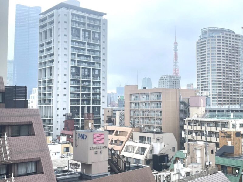【住戸からの眺望】奥には麻布台ヒルズと東京タワーが覗かせています。