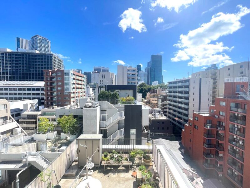 【住戸からの眺望】周囲の建物まで距離が保たれているので陽光も注ぎ、周辺は低層の建物も多く開放感もあり、広い空も仰げる爽快な眺望です。