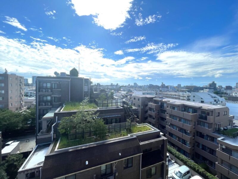 【住戸からの眺望】前面の建物まで距離が保たれているので陽光も注ぎ、周辺は低層の建物も多く、抜けと開放感もあり、広い空も仰げる眺望です。