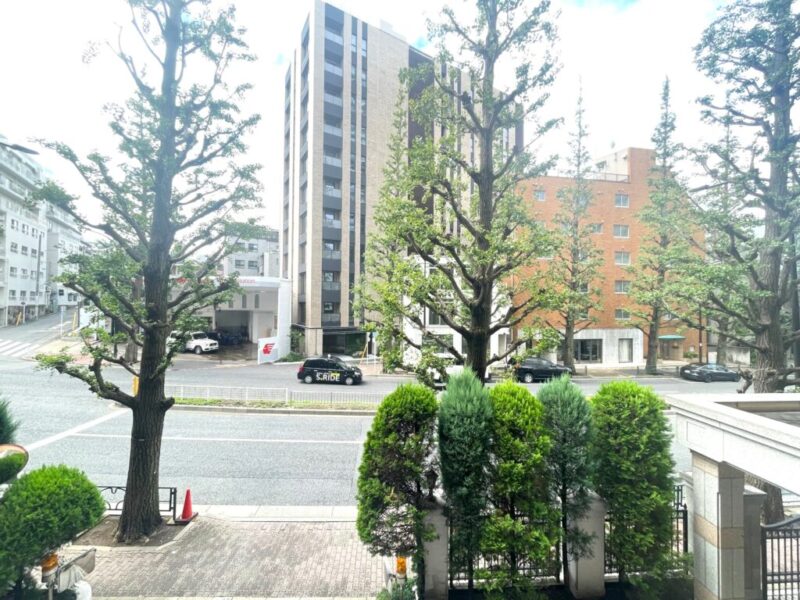 【住戸からの眺望】イチョウ並木が美しいプラチナ通りにより、前面の建物まで距離が保たれているので陽光も注ぎ、開放感もあり、広い空も仰げる眺望です。