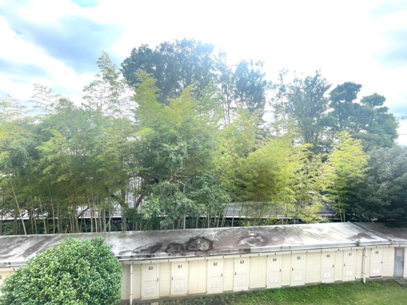 【住戸からの眺望】広い空と竹林のグリーンビューで癒される眺望です。外部からの視線も感じにくく、プライベート空間で至福のひとときを満喫できます。