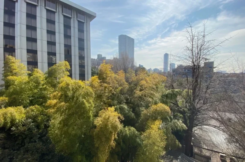 【住戸からの眺望】「八芳園」や「シェラトン都ホテル」の豊かな緑と広い空が融合した爽快な眺望です。