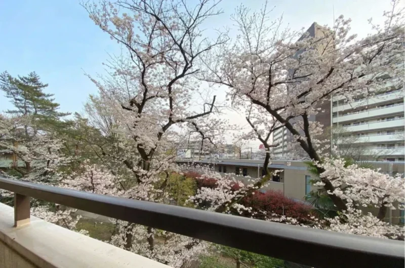 【住戸からの眺望】春には自邸から桜の観賞も可能です。