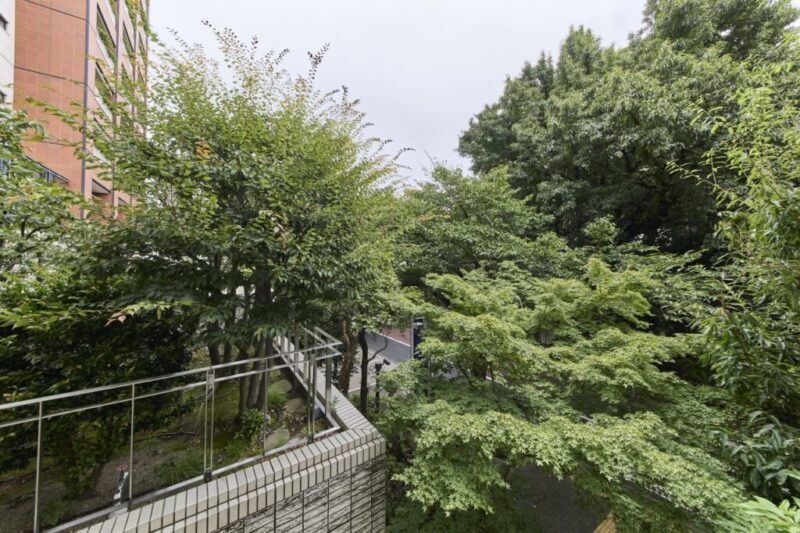 【住戸からの眺望】植栽のグリーンで囲われ、外部からの視線も感じにくく、プライベート空間で至福のひとときを満喫できます。