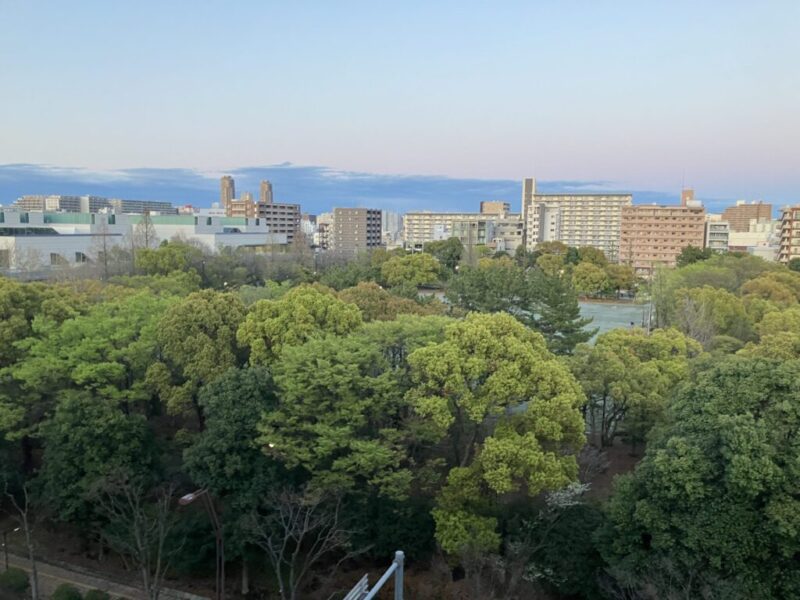 【住戸からの眺望】眼前には、「木場公園」のグリーンが広がり開放感に溢れ、空も広く仰げる爽快な眺望です。
