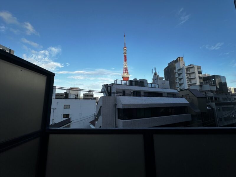 【住戸からの眺望】自邸から東京タワーが望めます。