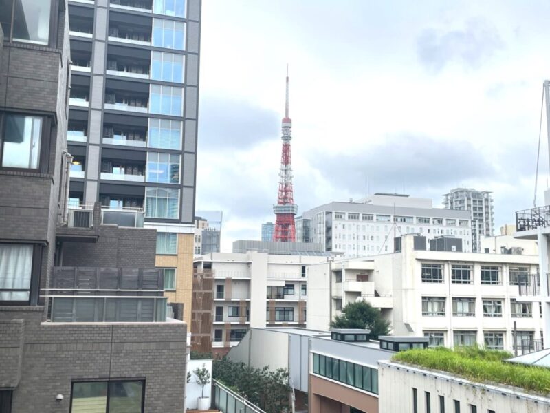【住戸からの眺望】奥には東京タワーも望めます。
