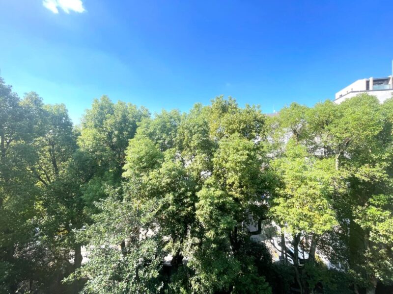 【住戸からの眺望】植栽のグリーンで囲われ外部からの視線も感じにくく、空も広く仰げ、プライベート空間で至福のひとときを満喫できます。