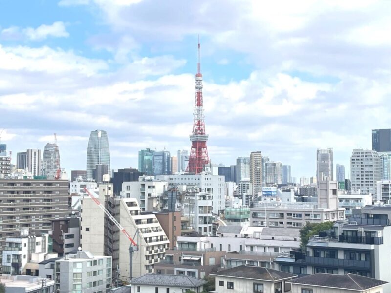 【住戸からの眺望】東京タワーをアクセントに港区を一望でき、高層ビルが建ち並ぶ都心部の壮観な景色を手中に収めることができる存分なステータス。夜には、広がる都心の明かりがより一層美しく煌びやかな夜景が贅沢にも自邸から堪能できます。