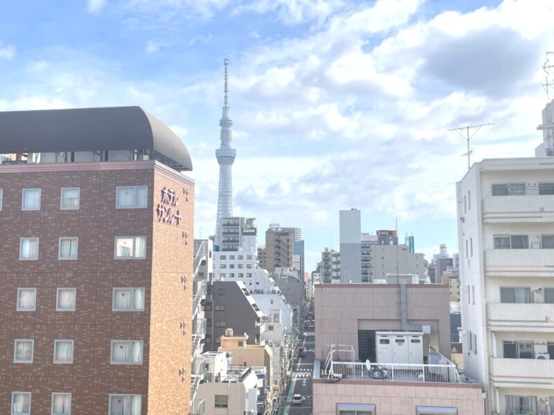 【住戸からの眺望】広い空も仰げ、奥には東京スカイツリーも望め、夏には花火鑑賞もできる眺望です。