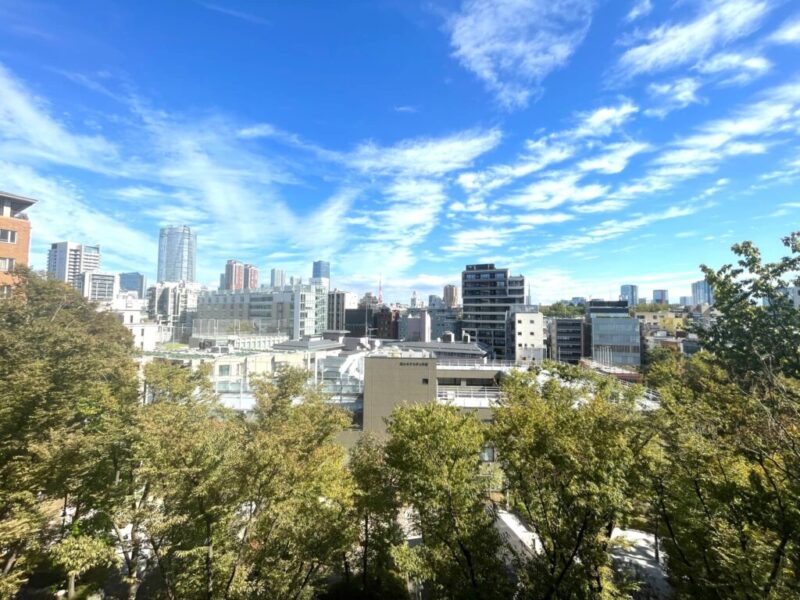 【住戸からの眺望】広い空のブルーと豊富なグリーンのコントラストが美しい開放感のある爽快な眺望です。奥は六本木・麻布エリアのビル群が広がります。