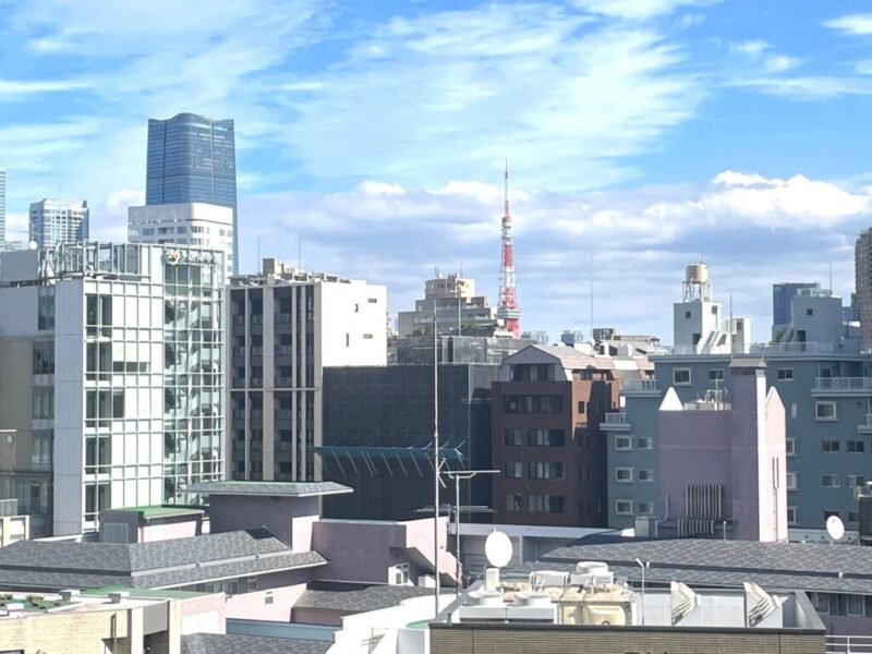 【住戸からの眺望】「麻布台ヒルズ」や「東京タワー」も望めます。