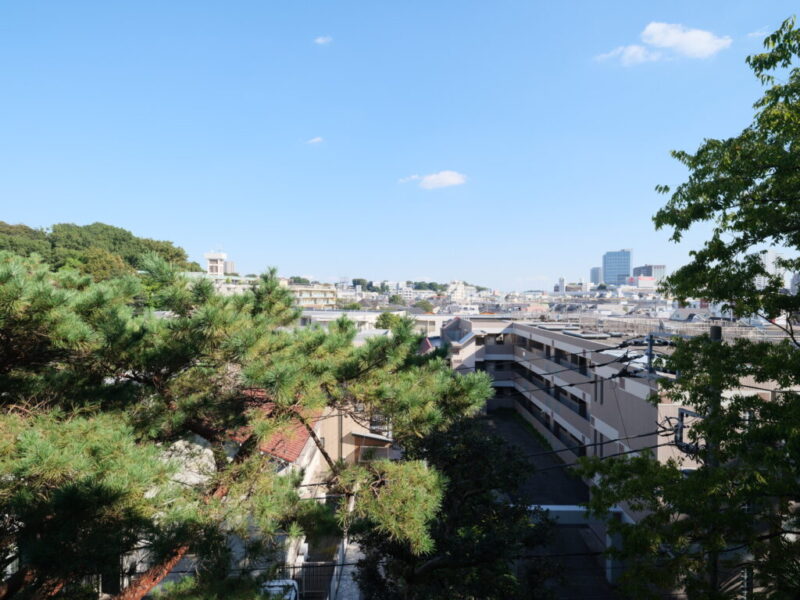【住戸からの眺望】抜け感もり、広い空のブルーと豊富なグリーンのコントラストが美しい開放感のある爽快な眺望です。