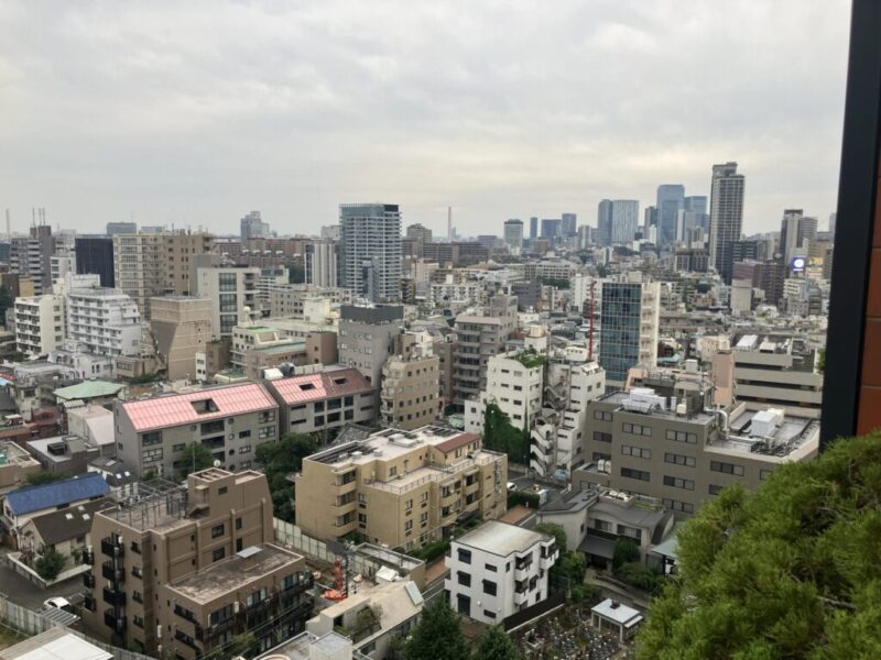 【住戸からの眺望】都会的な高層ビルが建ち並ぶ風景ながら緑もあり、周辺は視線より高い建物も少なく広い空も仰げる開放感のある眺望です。