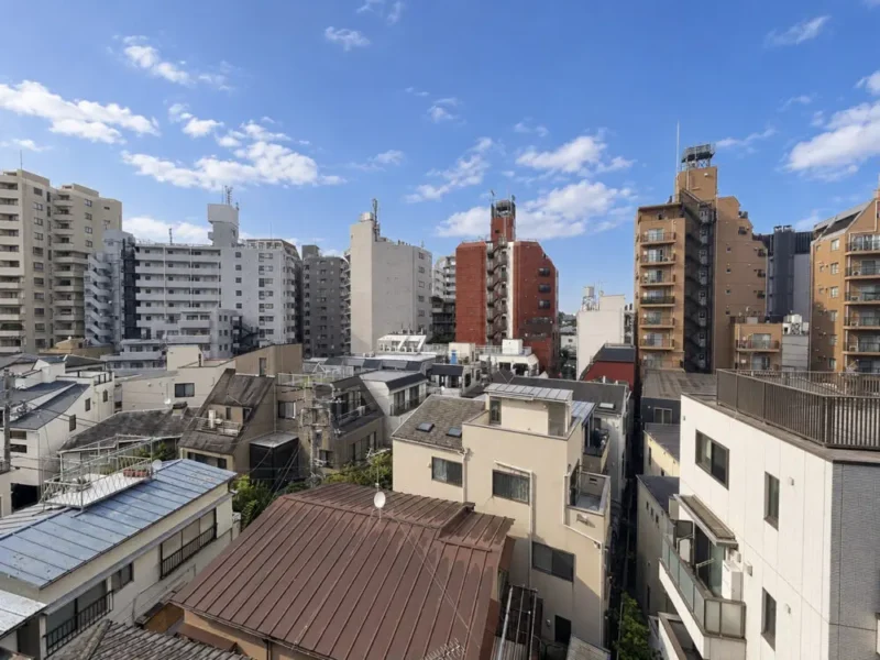 【住戸からの眺望】周辺は低層の建物も多く、陽光もたっぷり注ぎ開放感もあり、広い空も仰げる眺望です。